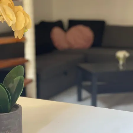 Apartment Cute